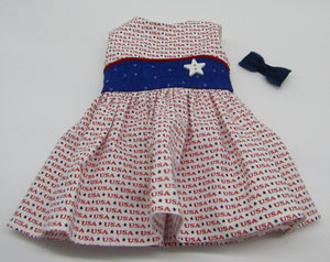 Celebrate the USA Dress